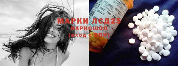 прущие грибы Волоколамск