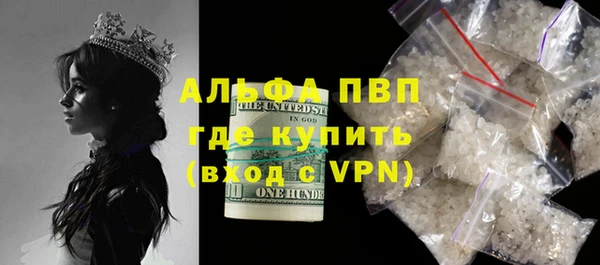 ПСИЛОЦИБИНОВЫЕ ГРИБЫ Верея