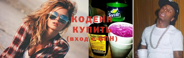 прущие грибы Волоколамск