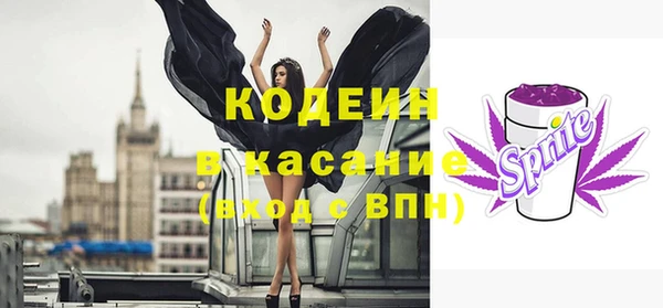 твердый Верхний Тагил