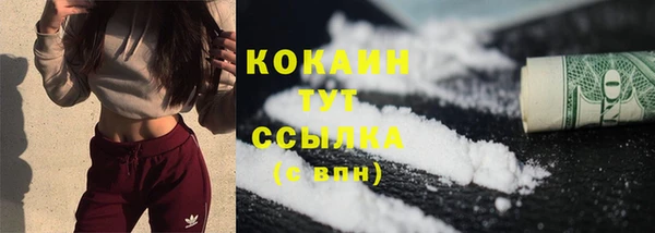 твердый Верхний Тагил
