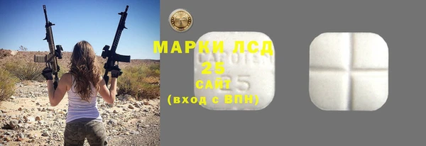 прущие грибы Волоколамск