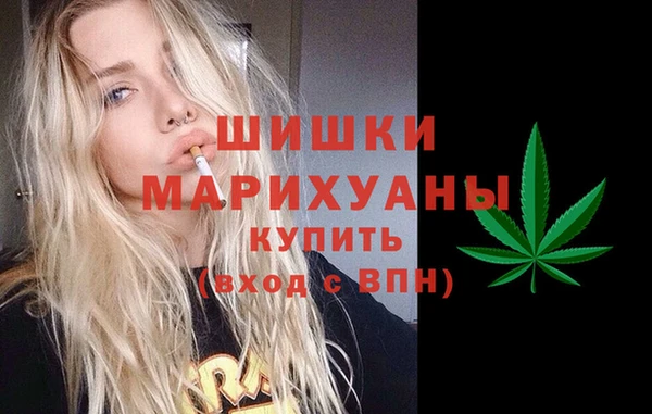 ПСИЛОЦИБИНОВЫЕ ГРИБЫ Верея