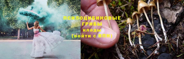 ПСИЛОЦИБИНОВЫЕ ГРИБЫ Володарск