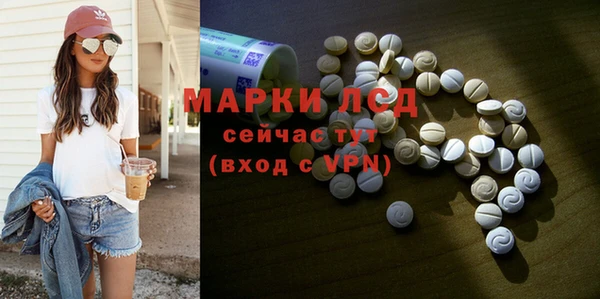 прущие грибы Волоколамск