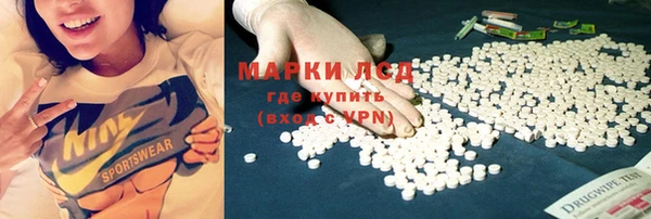 прущие грибы Волоколамск