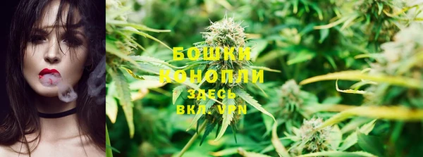 твердый Верхний Тагил
