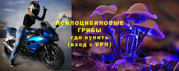 твердый Верхний Тагил