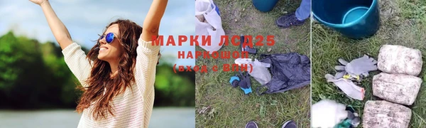 ПСИЛОЦИБИНОВЫЕ ГРИБЫ Верея