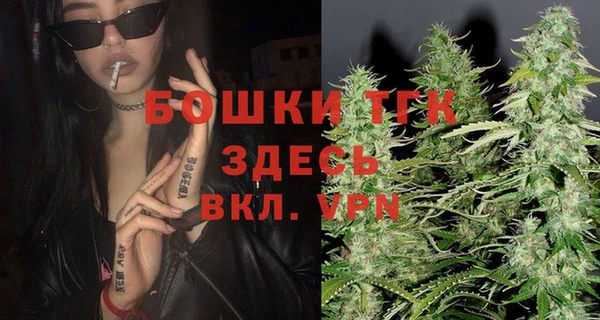 твердый Верхний Тагил